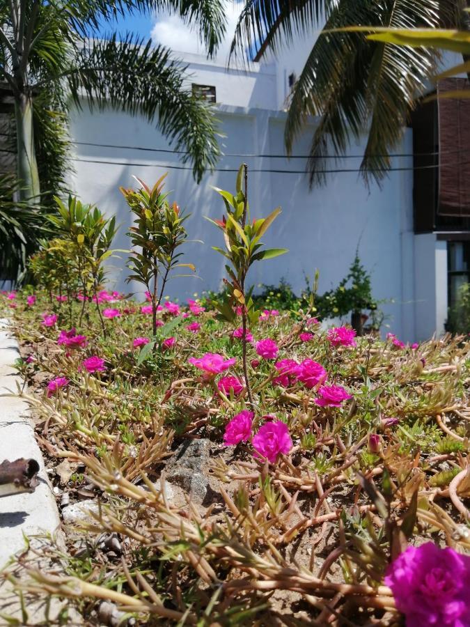 Ibis Leilighet Udawalawe Eksteriør bilde