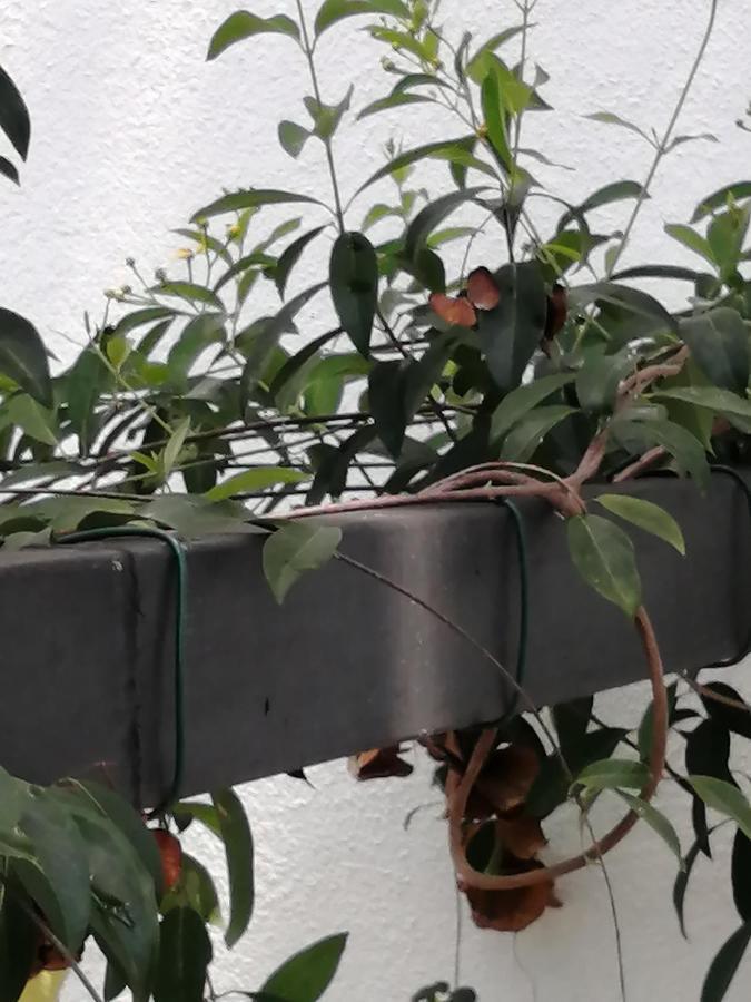 Ibis Leilighet Udawalawe Eksteriør bilde