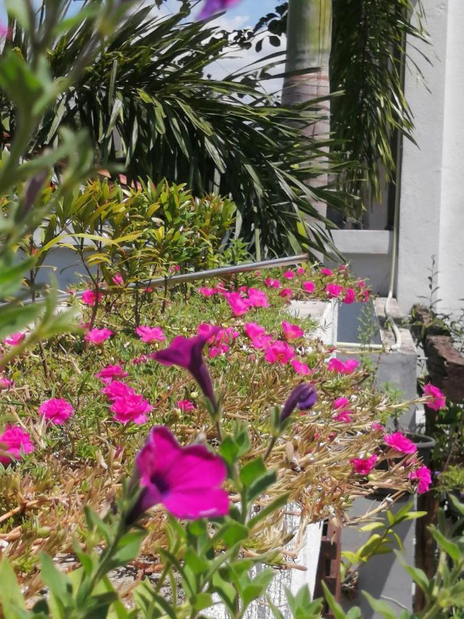 Ibis Leilighet Udawalawe Eksteriør bilde